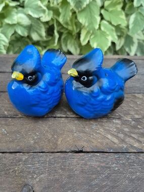 Vintage Ceramic Blue Jay Salt & Pepper Shakers Set